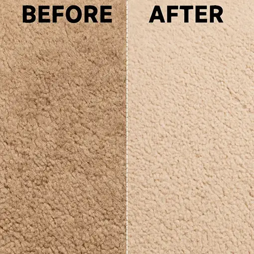 before_after_carpet_cleaning w s